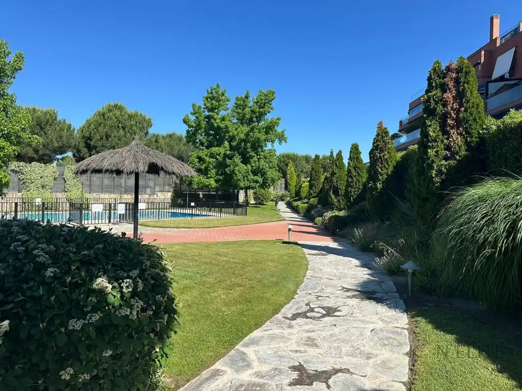 Piso con piscina en venta en Avenida Casablanca, imagen 16