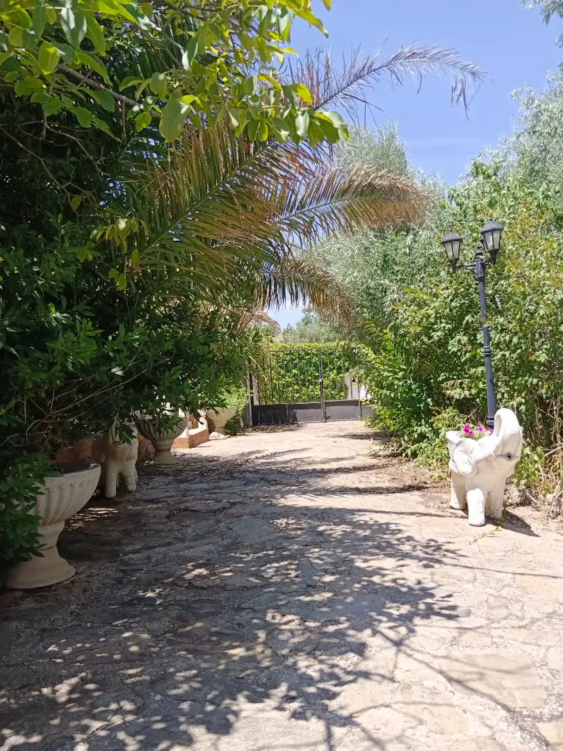Jardí de Casa o xalet en venda en Illana amb Jardí privat, Terrassa i Piscina