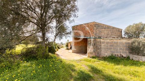 Foto 4 de Finca rústica en venda a Son Rego, Zona Rústica - Interior, Campos