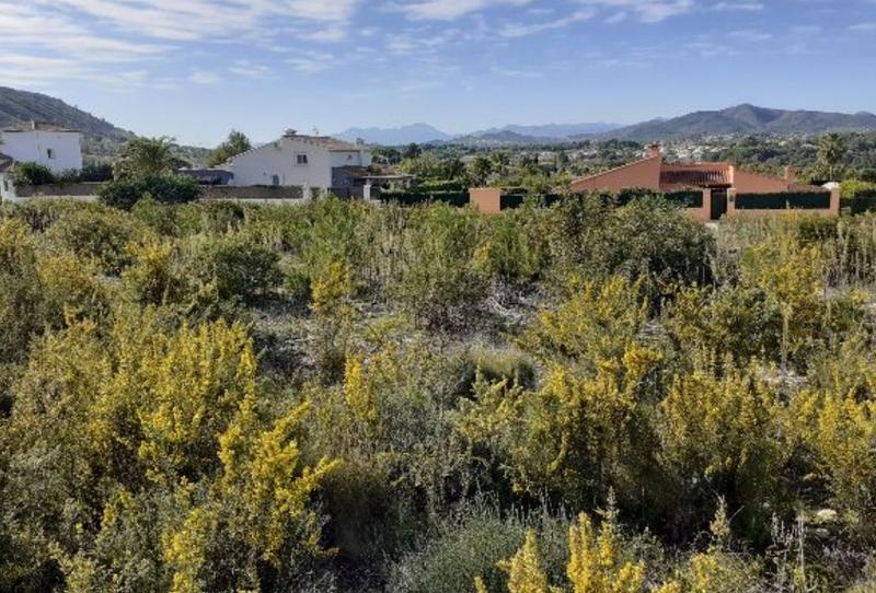 Photo 1 of Residential for sale in Pinomar, 85, 85, Cap Martí - El Tossalet - Pinomar, Alicante