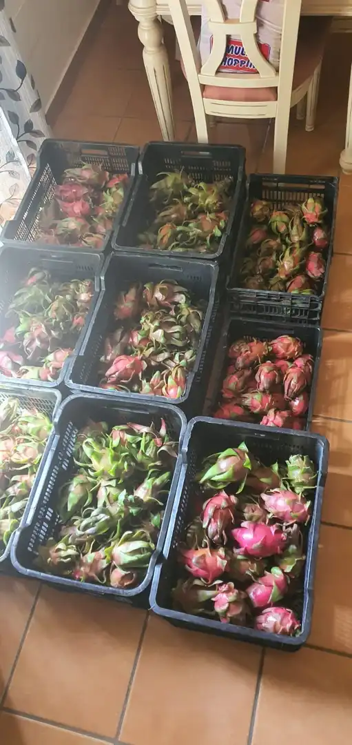 Terreni e lotti in vendita a Monda, imagen 33