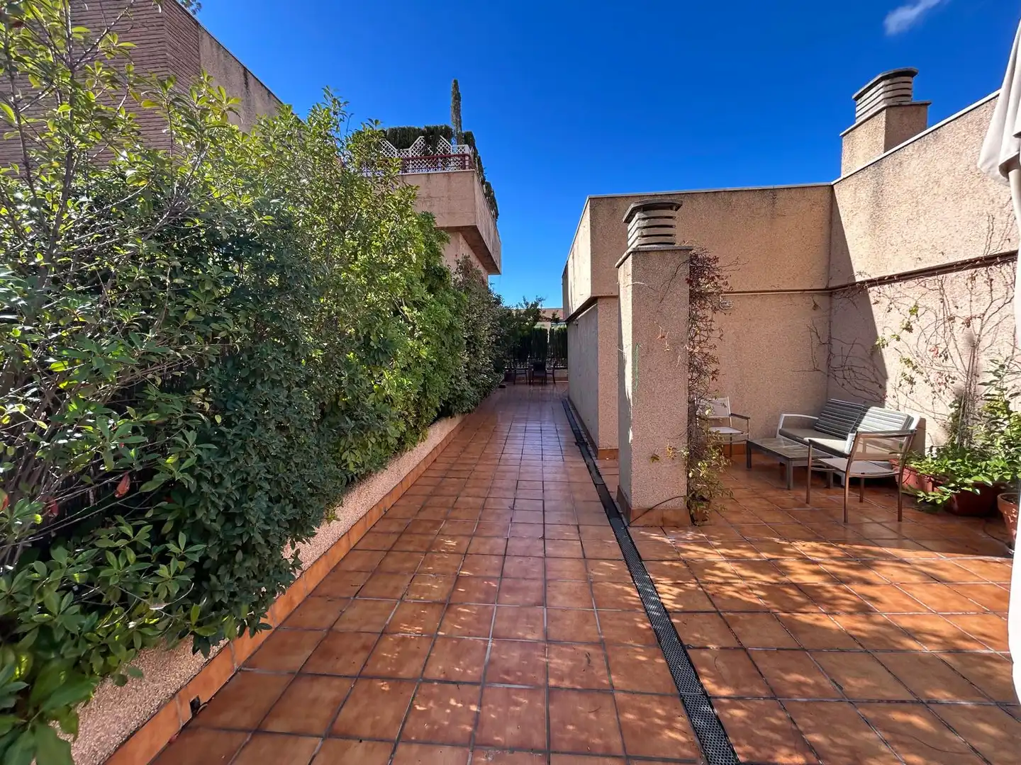 Àtic de lloguer a Barrio de Zaidín