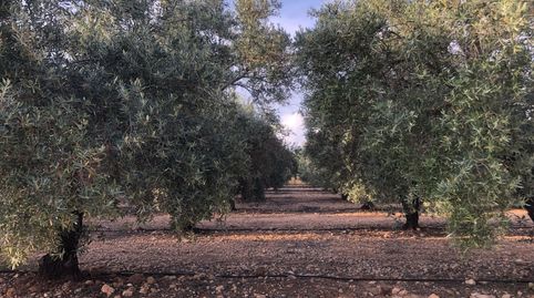 Terreno en venta en Hellín.