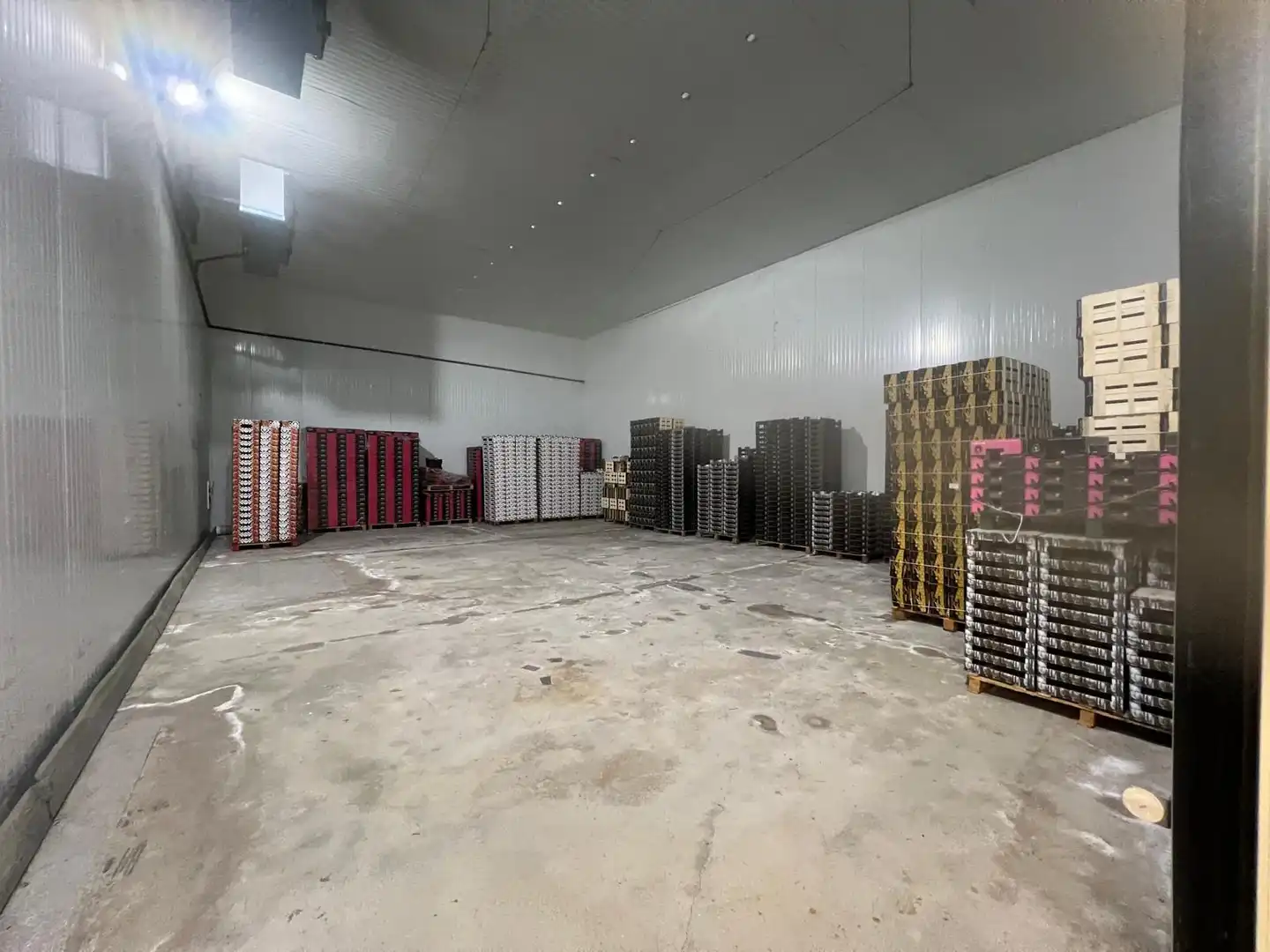 Fabrikhallen zur Miete in Elche / Elx