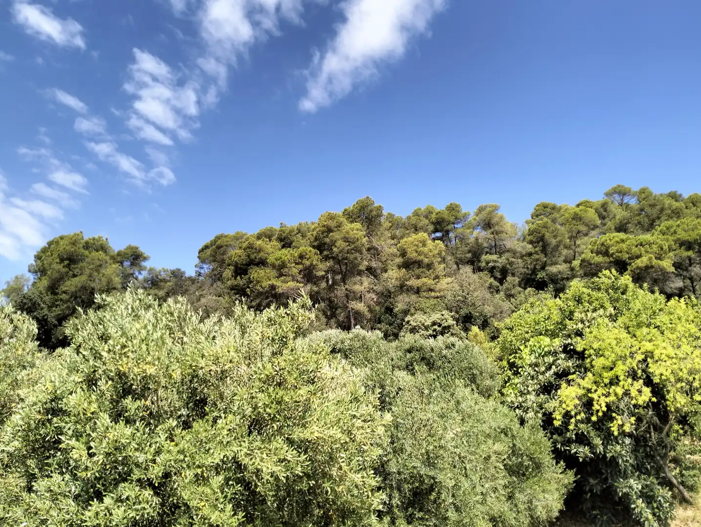 Casa o xalet en venda en Cervià de Ter amb Jardí privat, Terrassa i Balcó