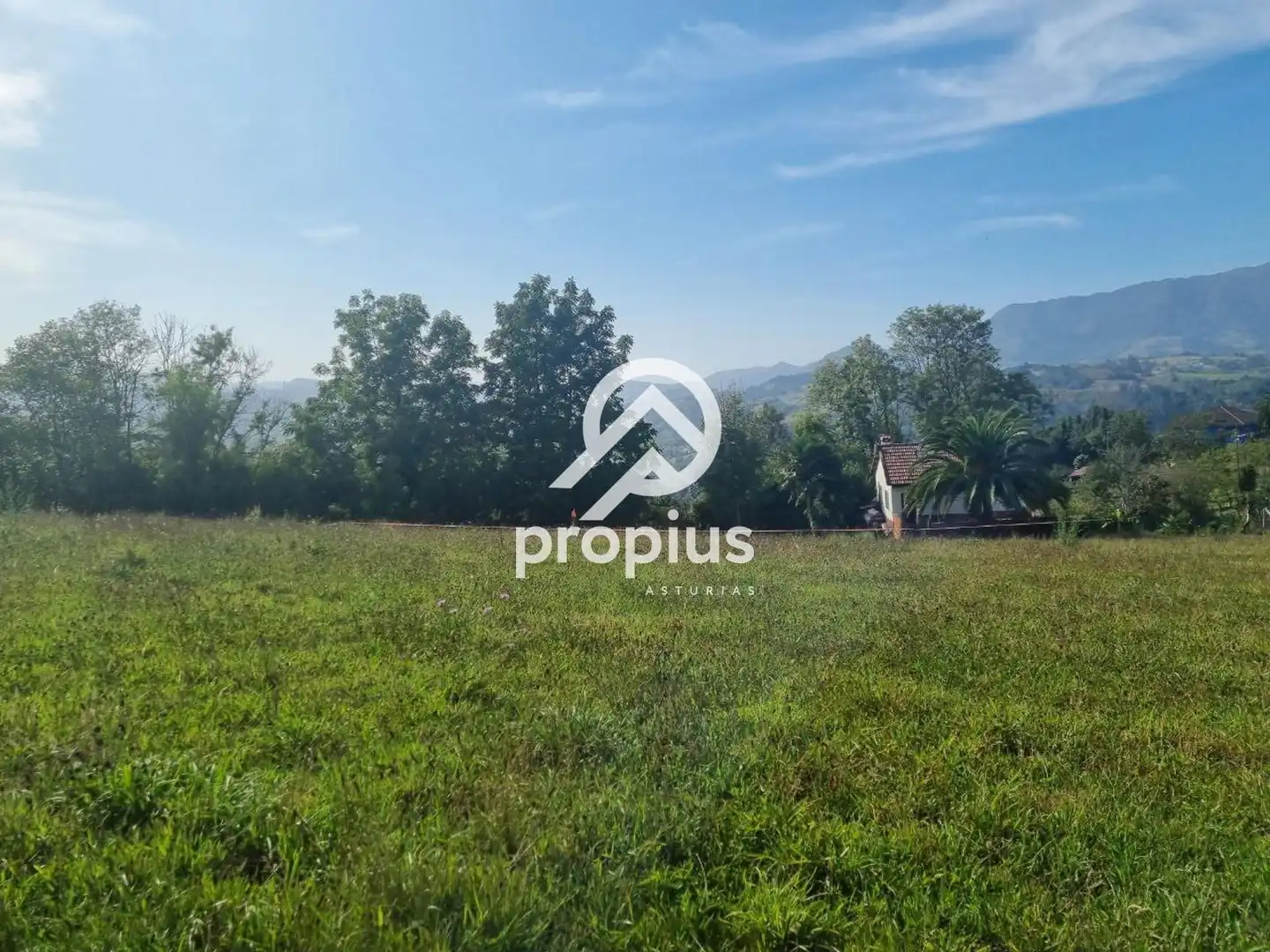 Rural land for sale in Arenas, imagen 9