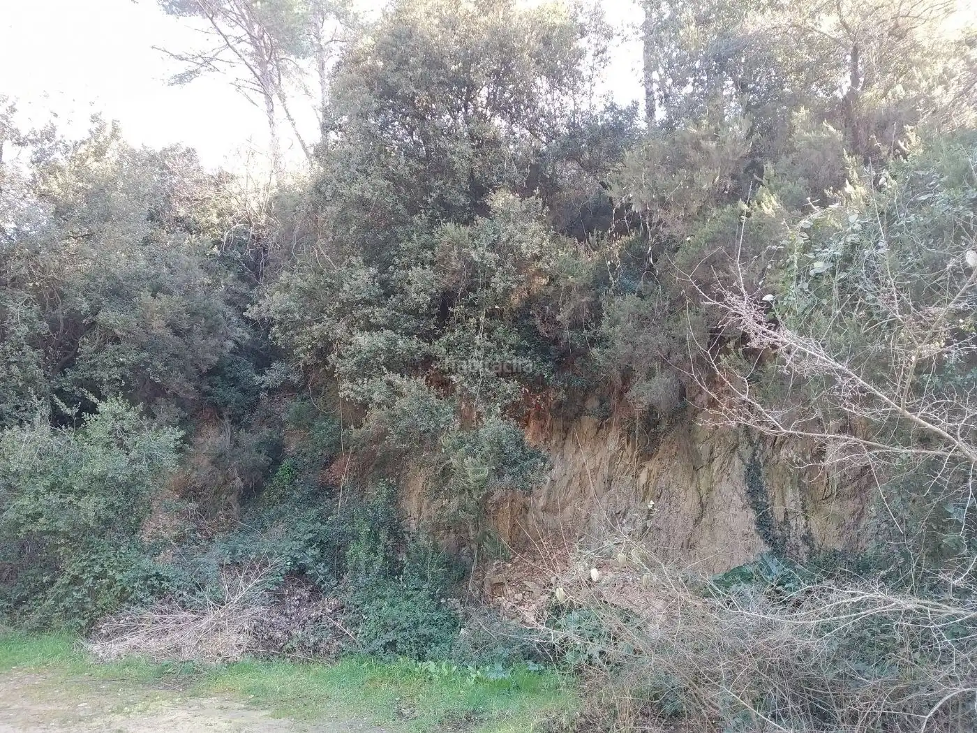 Rural land for sale in Carrer Magnòlia 15, imagen 2