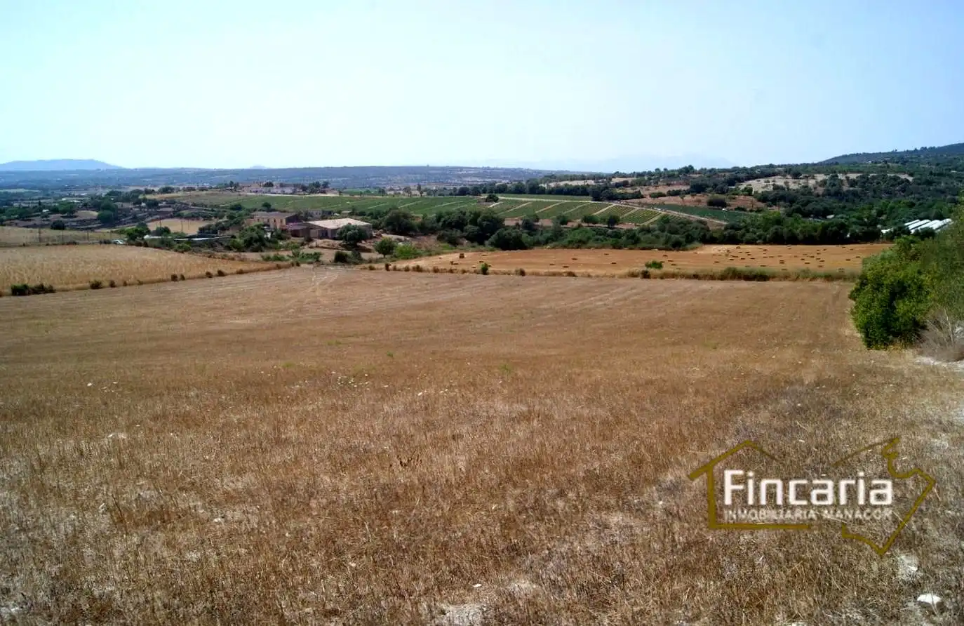 Terrenys i solars en venda a Camí de sa Murtera, imagen 9