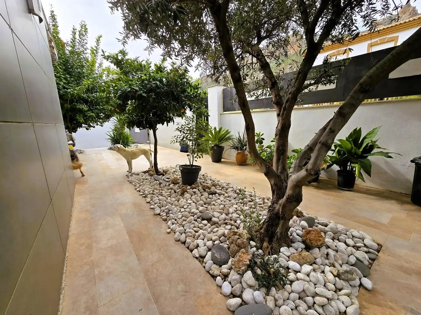 Casa con piscina in vendita a Loja, imagen 2