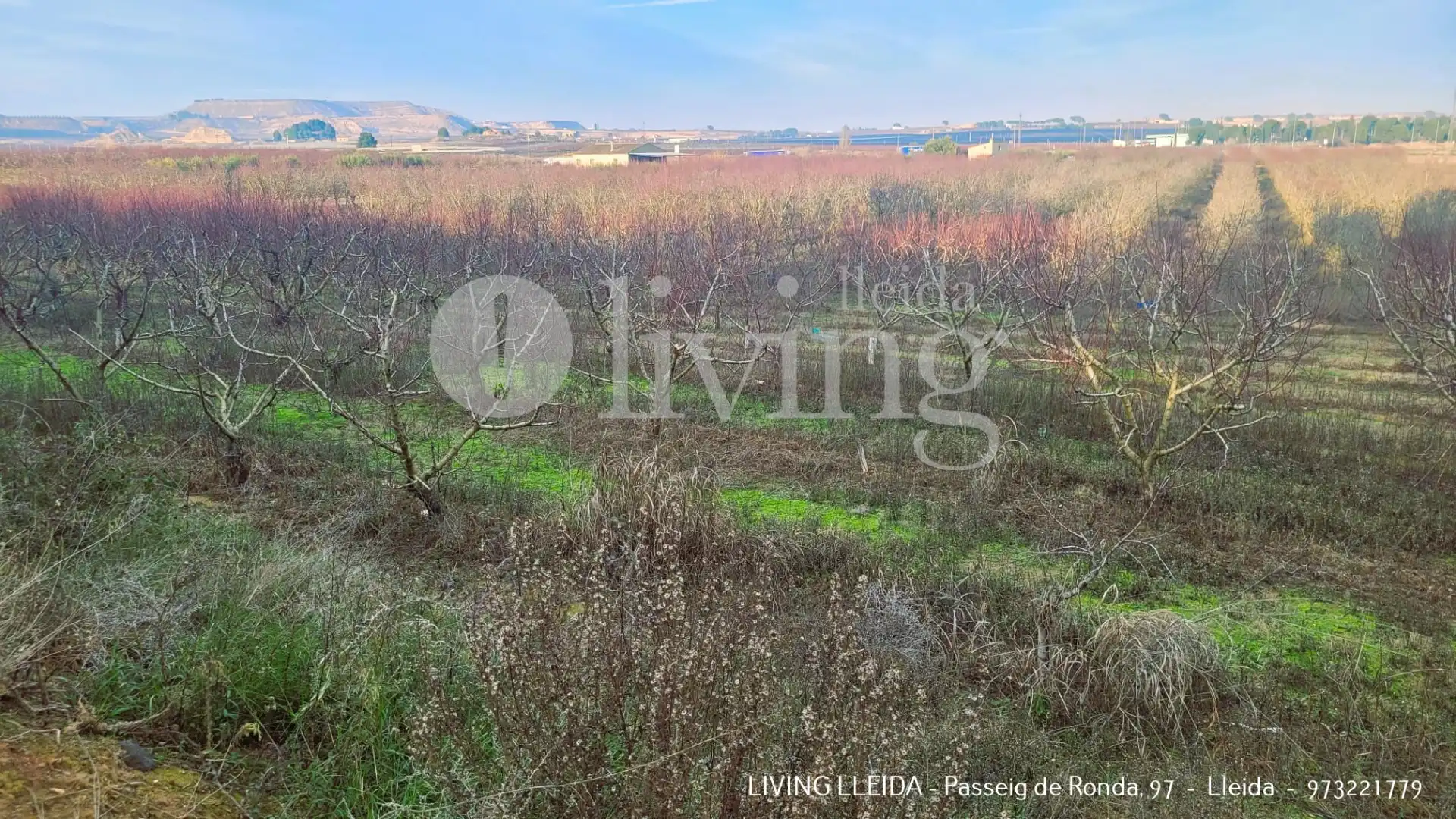 Finca rústica en venta en Fraga con Jardín privado, Trastero y Amueblado