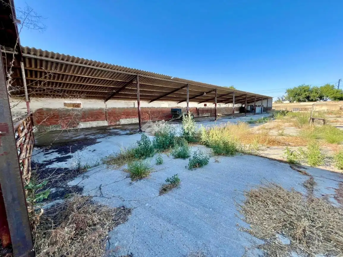 Exterior view of Land for sale in Zaragoza