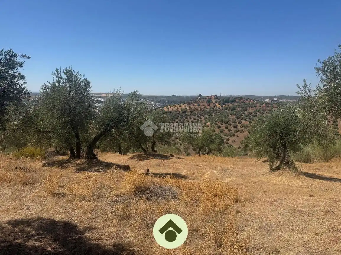 Terreny residencial en venda a Montoro