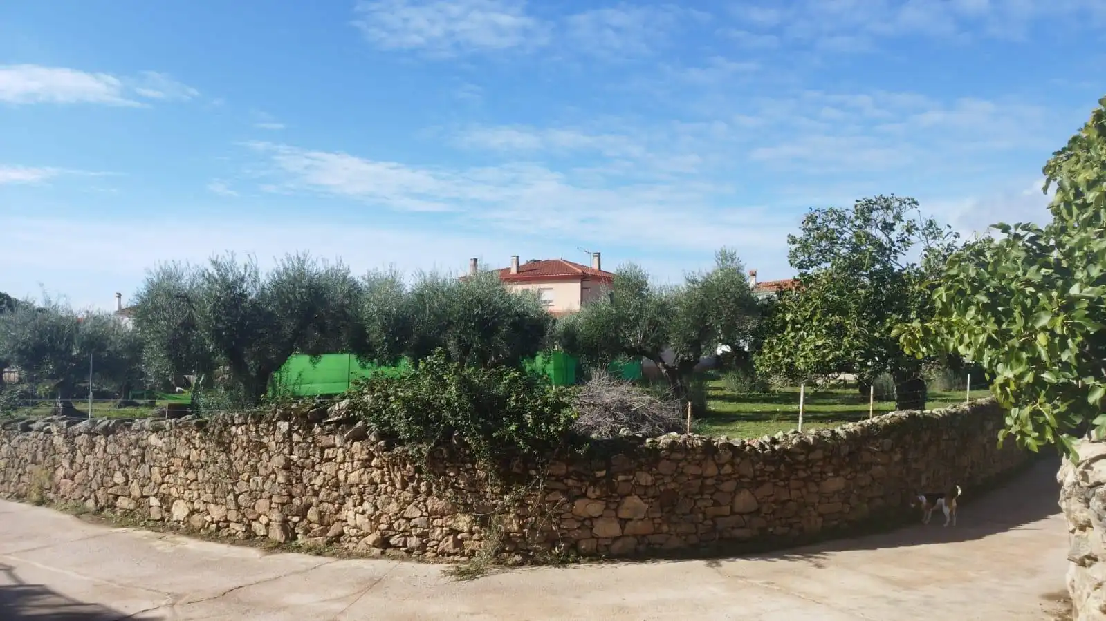 Terreni e lotti in vendita a Aldea del Cano, imagen 3