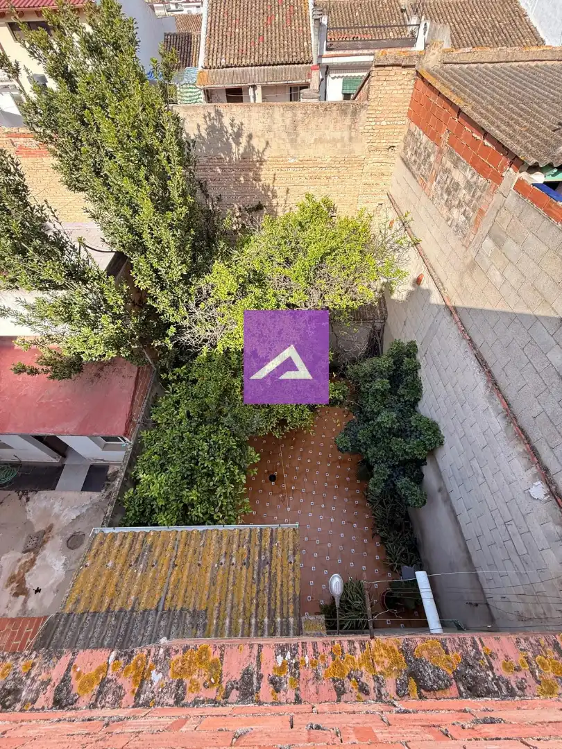 Jardí de Finca rústica en venda en Algemesí amb Terrassa i Traster