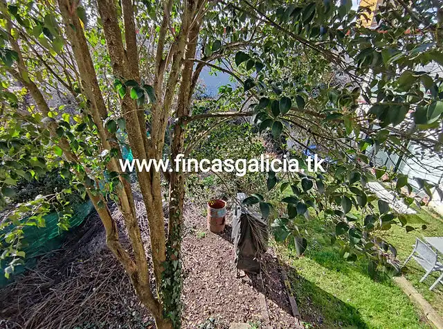 Habitatge amb terrassa en venda a Verín, imagen 10