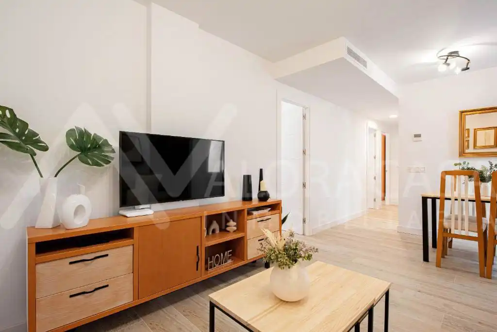 Living room of Flat for sale in Málaga Capital  with Air Conditioner, Heating and Furnished