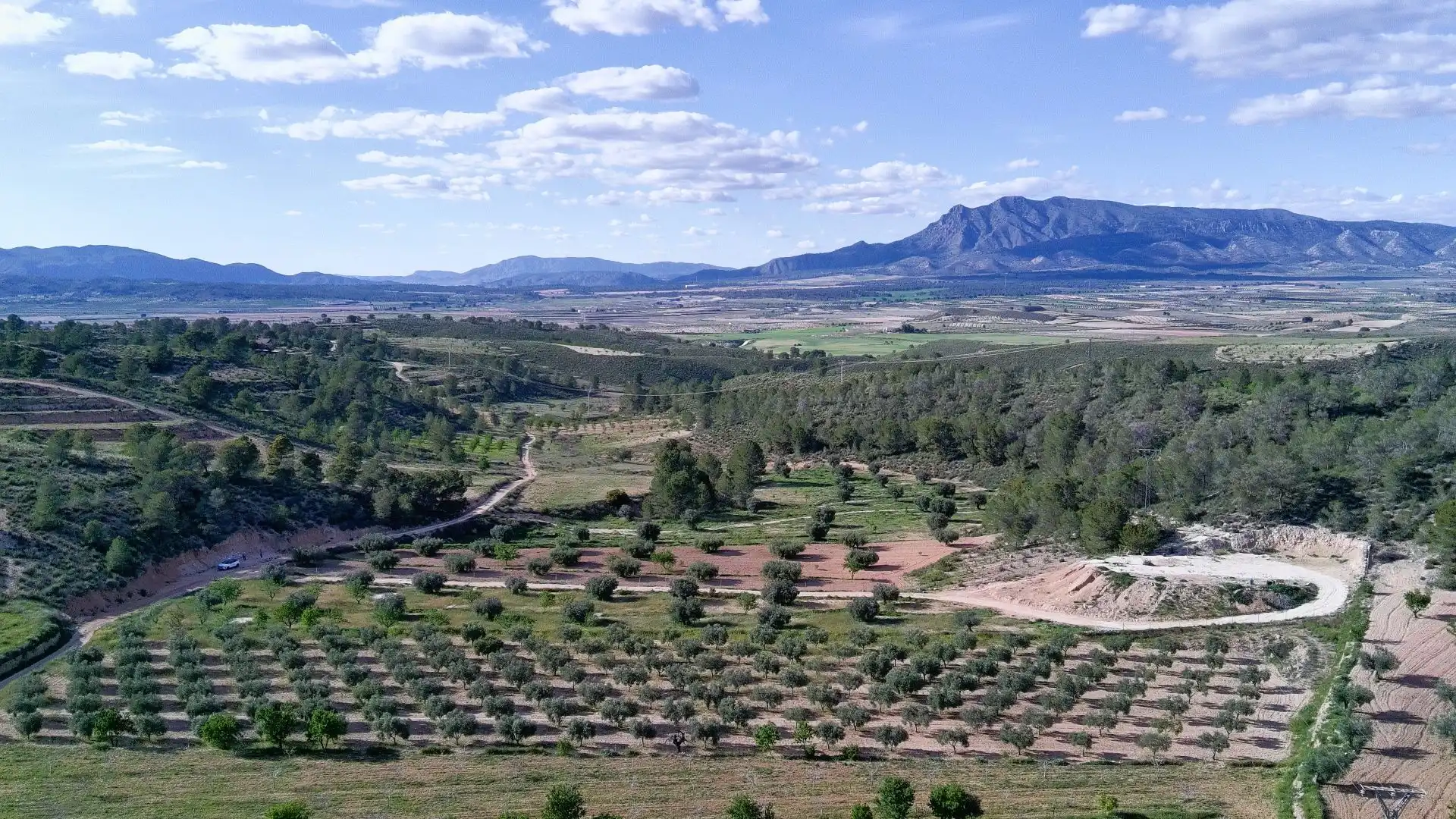 Terreno en venta en Jumilla