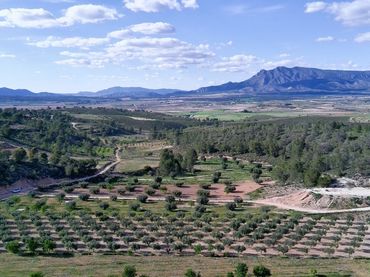 Terreny rústic en venda a Jumilla