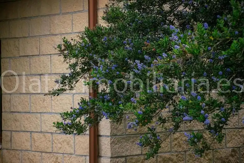 Exterior view of Country homes for sale in Sopuerta