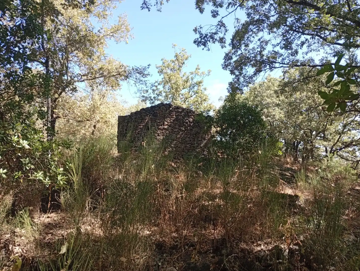 Terreni e lotti in vendita a Villanueva de la Vera, imagen 30