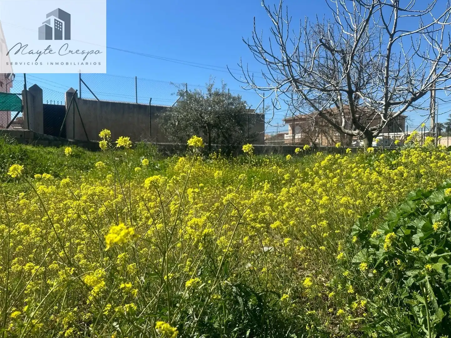 Lands and plots for sale in Calle VISTA NEVADA, imagen 10