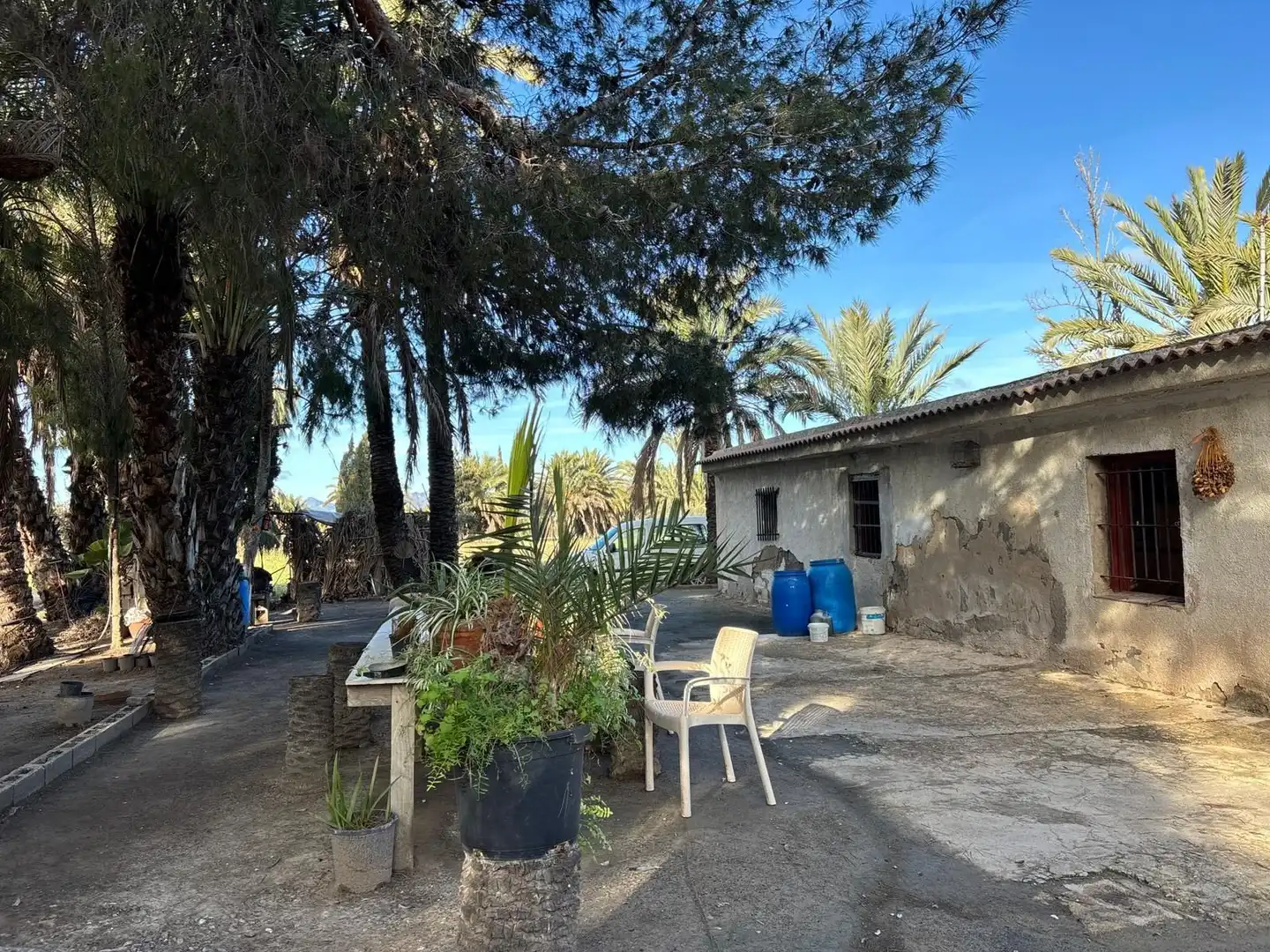 Vista exterior de Finca rústica en venda en Elche / Elx