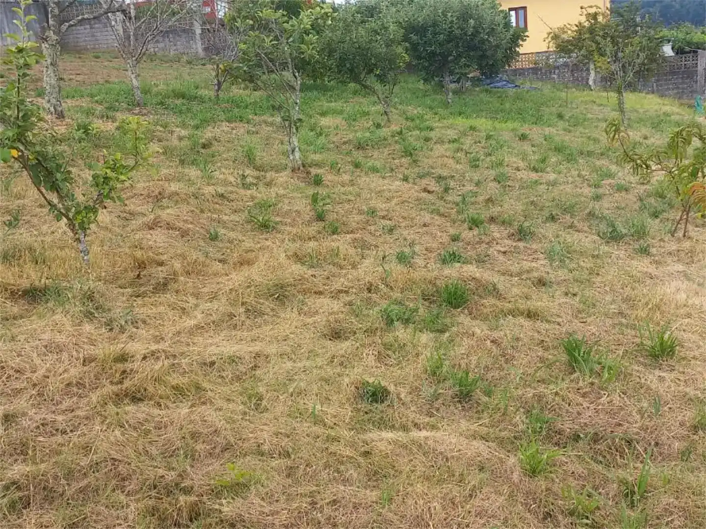 Grundstücke zur Miete in Betanzos