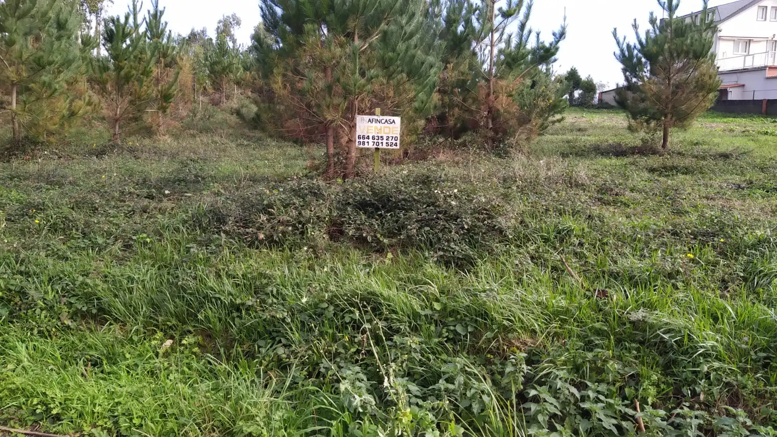 Terreny residencial en venda a Malpica de Bergantiños, imagen 3