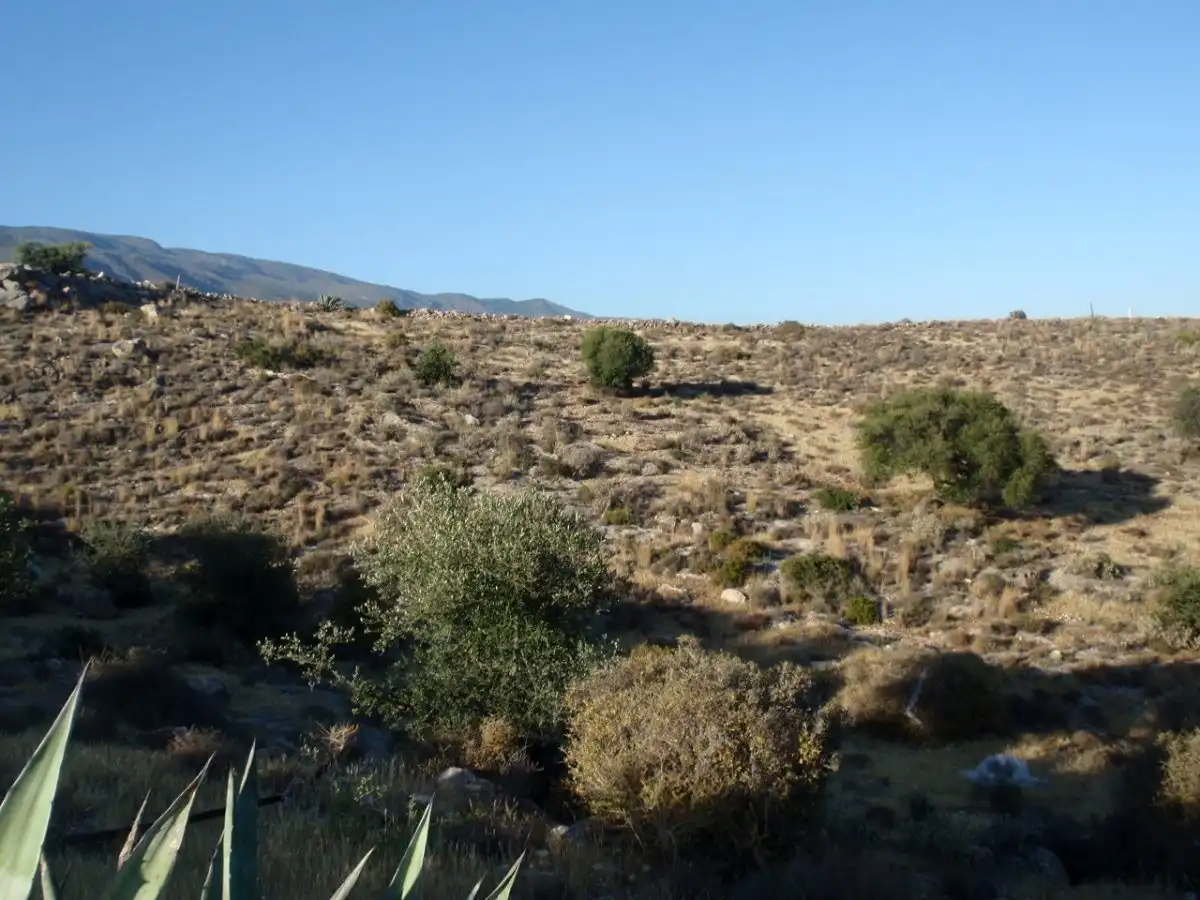 Finca rústica en venta en Dalías