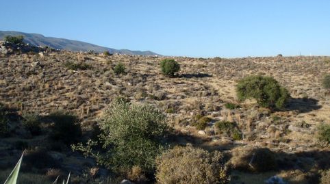 Foto 2 de Finca rústica en venta en Dalías, Almería