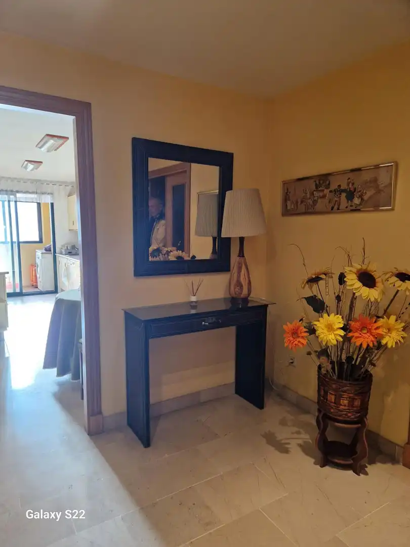 Wohnung mit Terrasse zum Verkauf in San Pedro de Alcántara, imagen 10