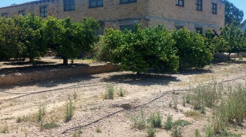 Edificio Agrícola en Venta con 10.805 m2 de Naranjos Productivos y Vistas a la Montaña  Cerca de Bitem, Tortosa, imatge 3