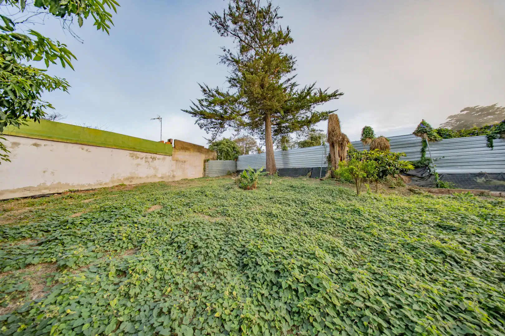 Jardín de Casa o chalet en venta en Tacoronte