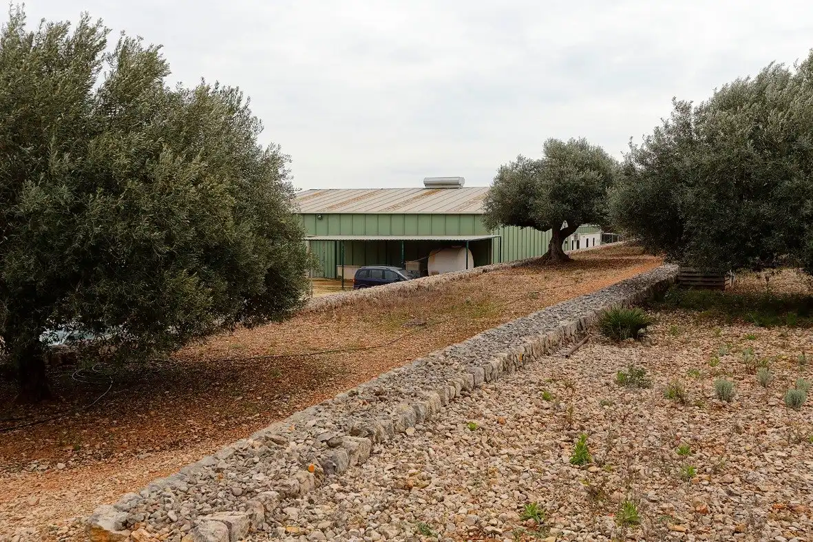 Casa en venta en Zona Hospital, imagen 11