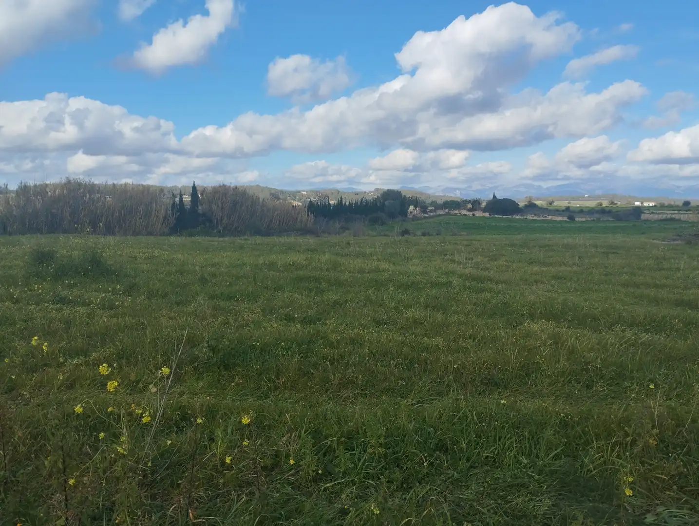 Terrain résidentiel à vendre à Algaida, imagen 5
