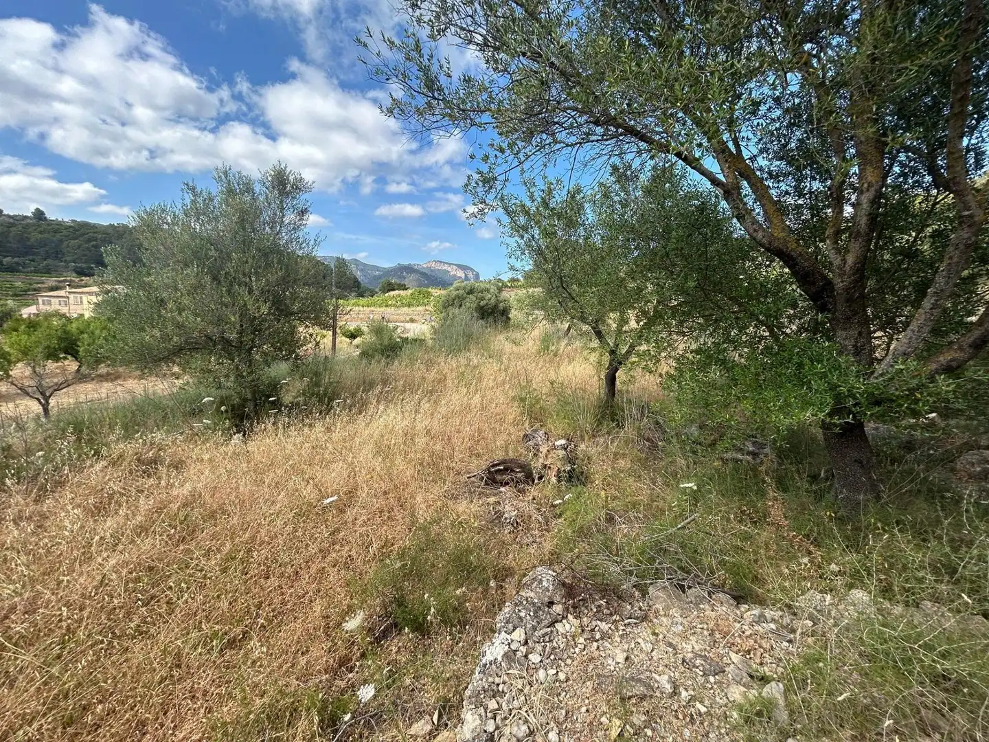Casa o chalet en venta en Alaró con Jardín privado