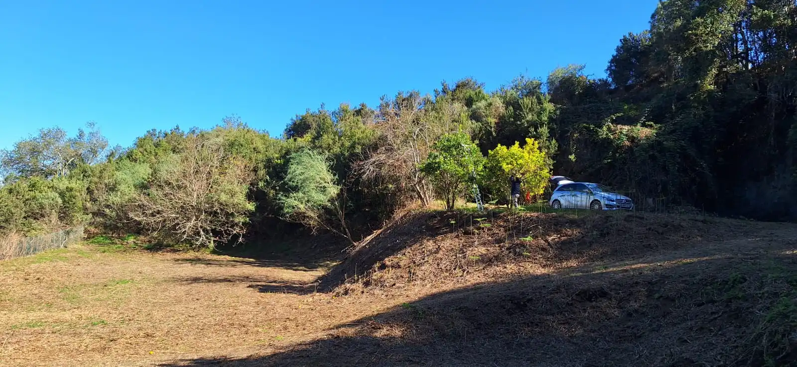 Finca rústica en venta en Los Realejos con Jardín privado y Terraza