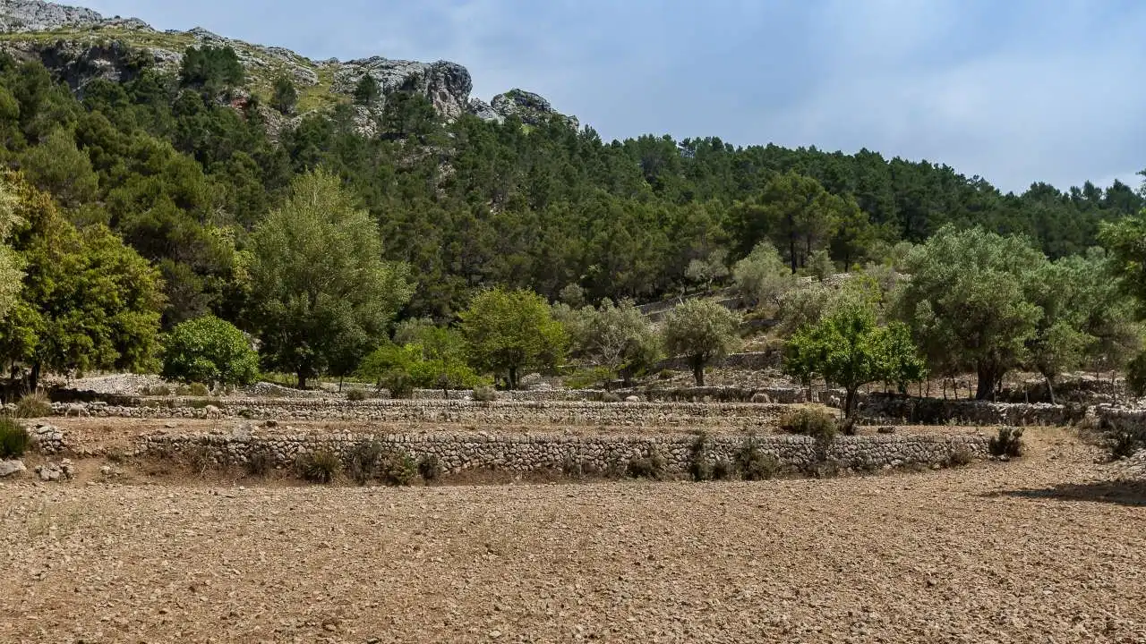 Finca rústica en venta en Escorca con Jardín privado, Terraza y Trastero