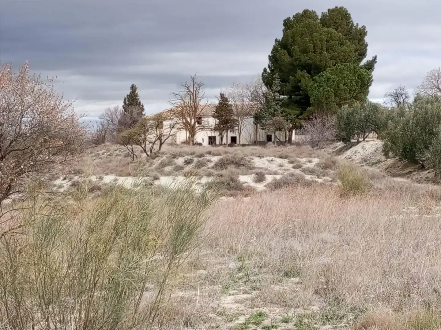 Vista exterior de Casa o chalet en venta en Baza