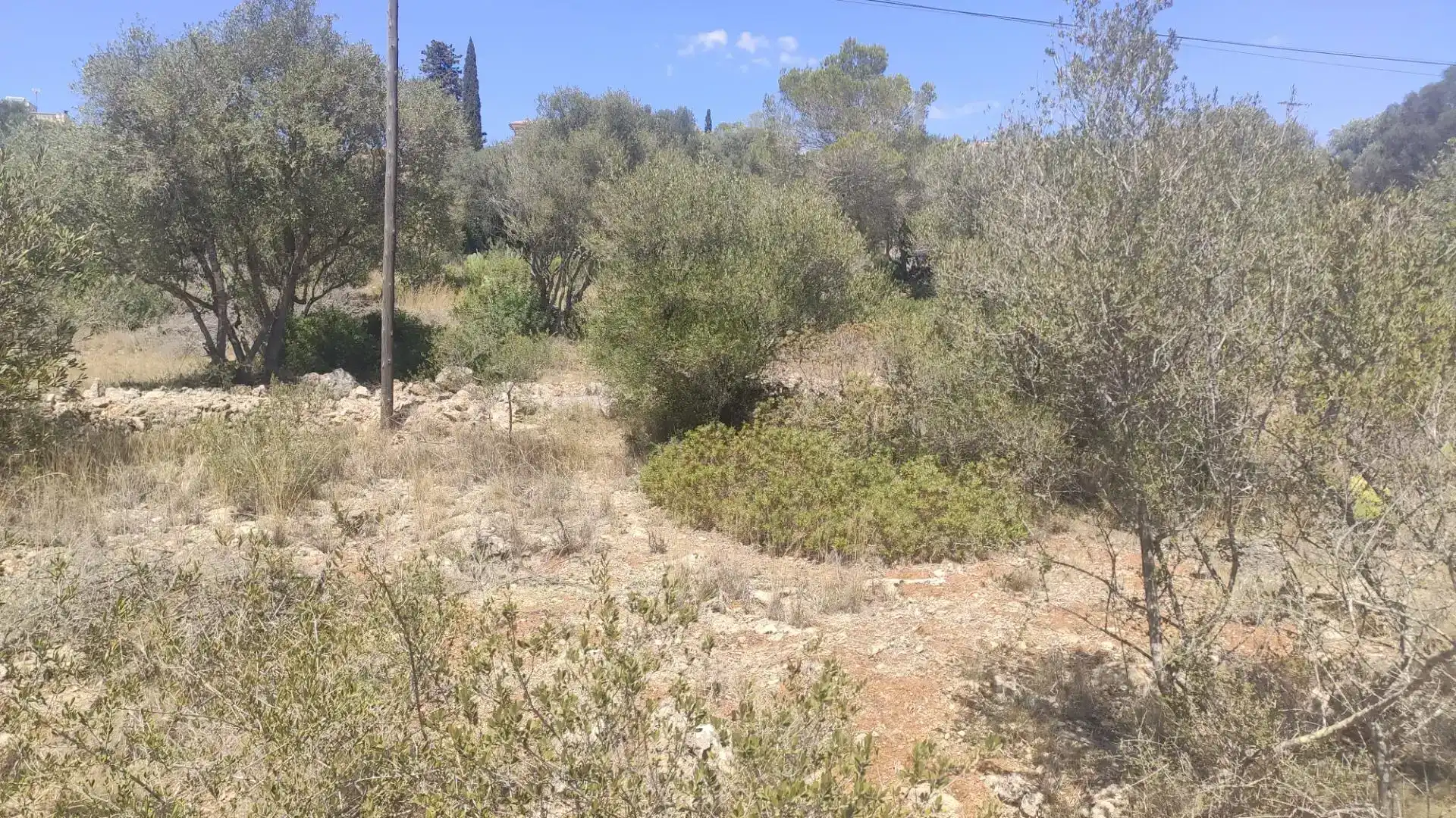 Terreny en venda en Marratxí