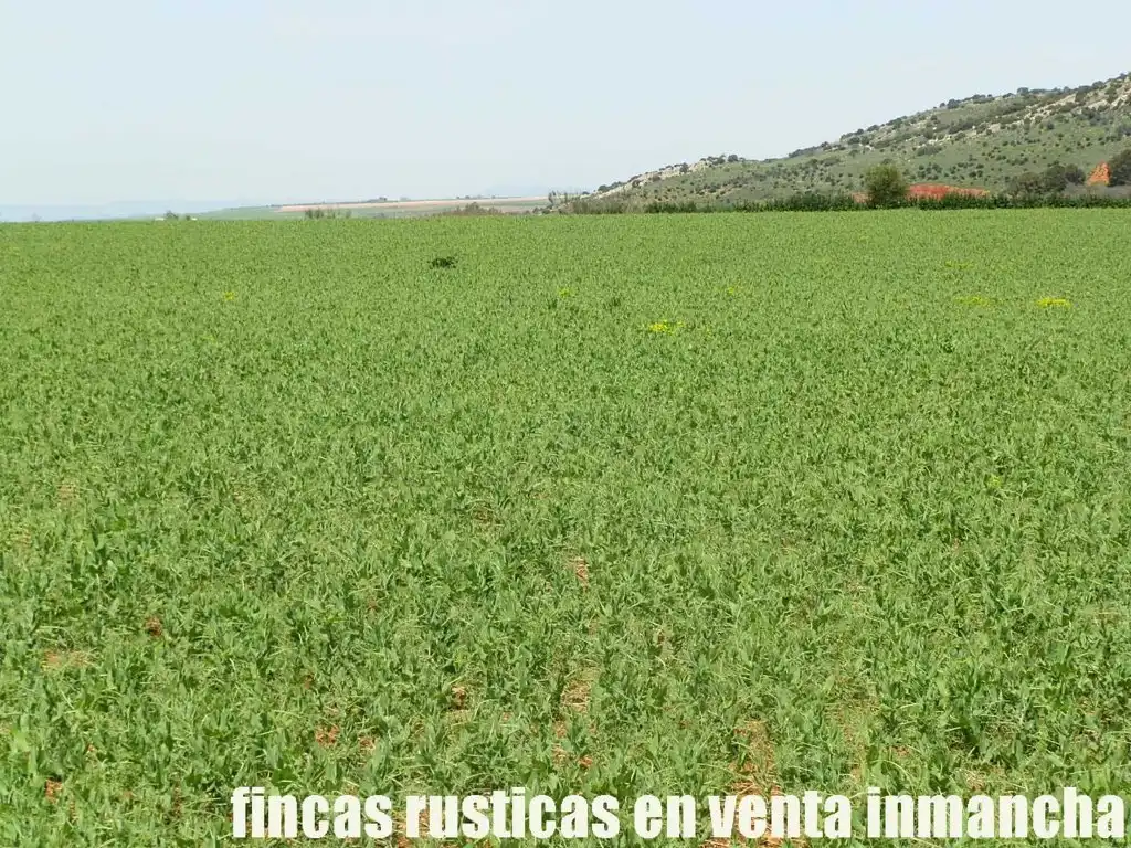 Terreno rustico in vendita a Centro - Plaza Mayor, imagen 18