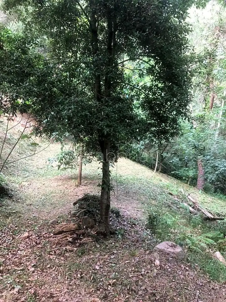 Finca rústica en venta en Arbúcies con Jardín privado, Terraza y Amueblado
