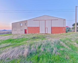 Exterior view of Industrial buildings for sale in Sancti-Spíritus (Badajoz)