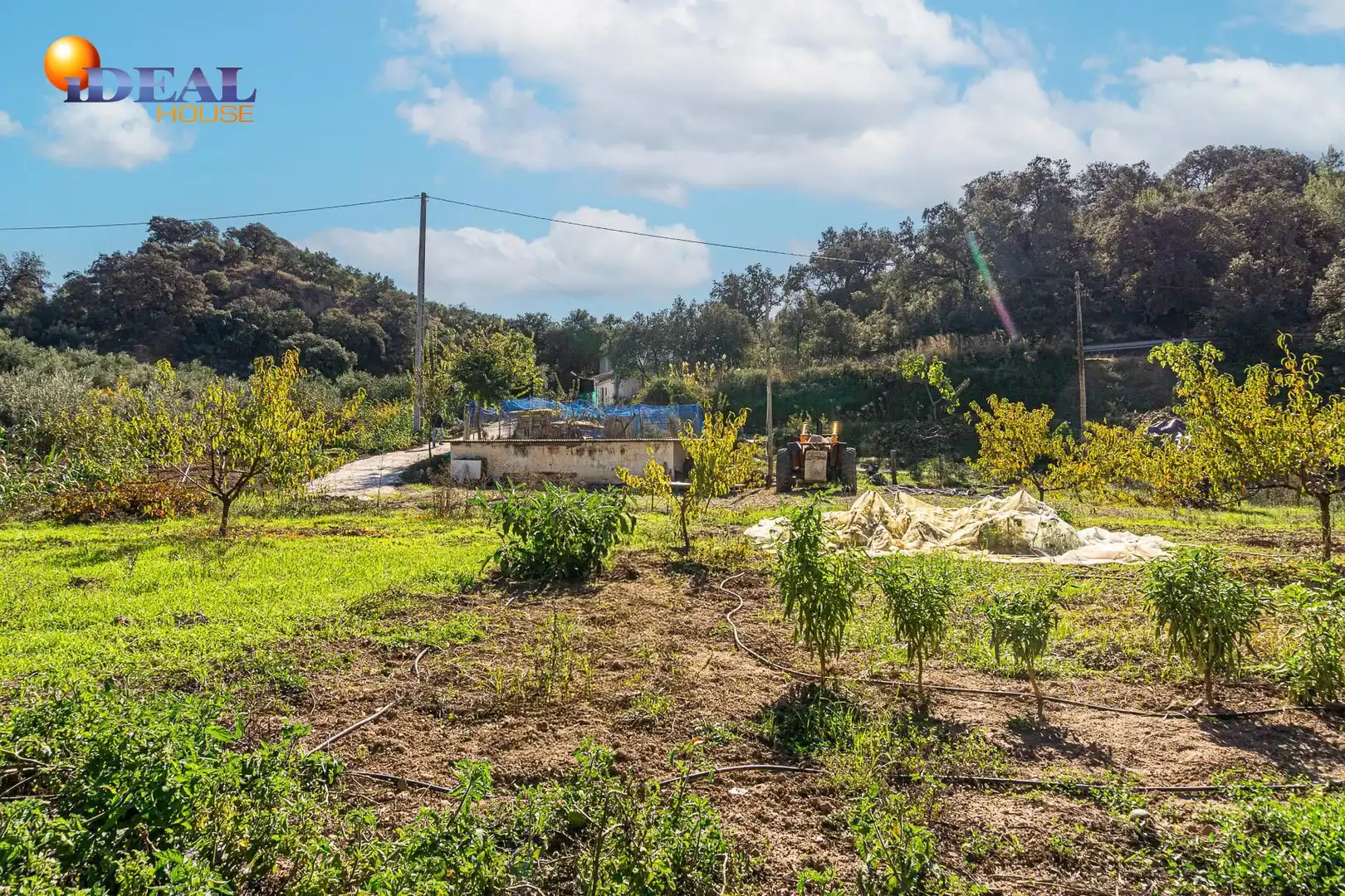 Finca rústica en venta en JA-4306, Castillo de Locubín