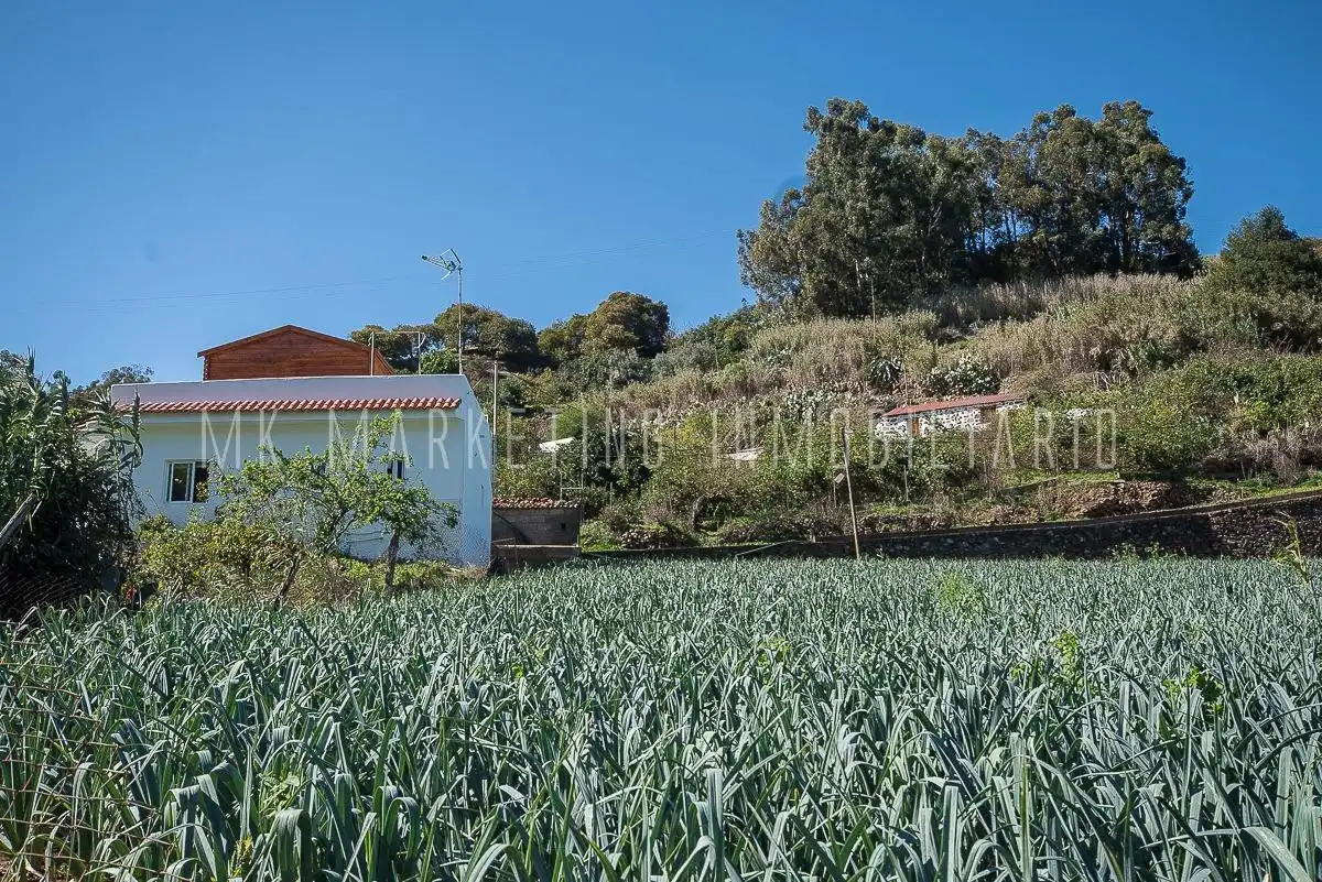 Casa o chalet en venta en Moya (Las Palmas) con Jardín privado, Terraza y Trastero