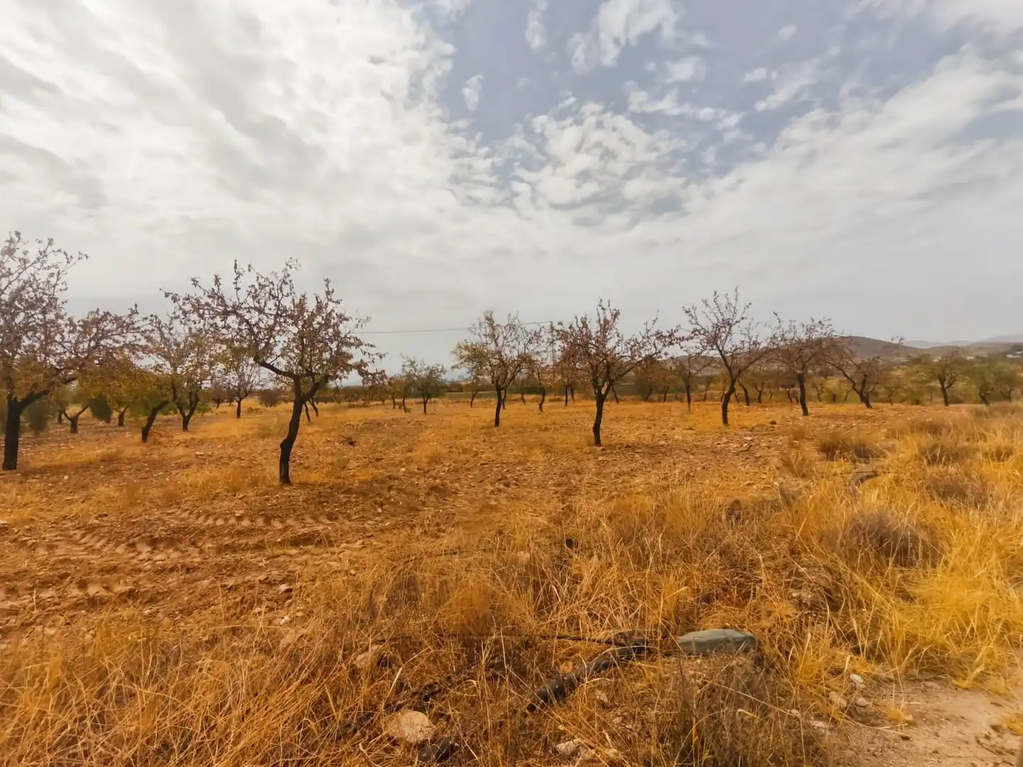 Rustikales Grundstück zum Verkauf in Uleila del Campo, imagen 10