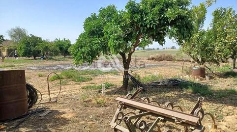 Photo 4 of Country homes for sale in Villarrubia,  Córdoba Capital