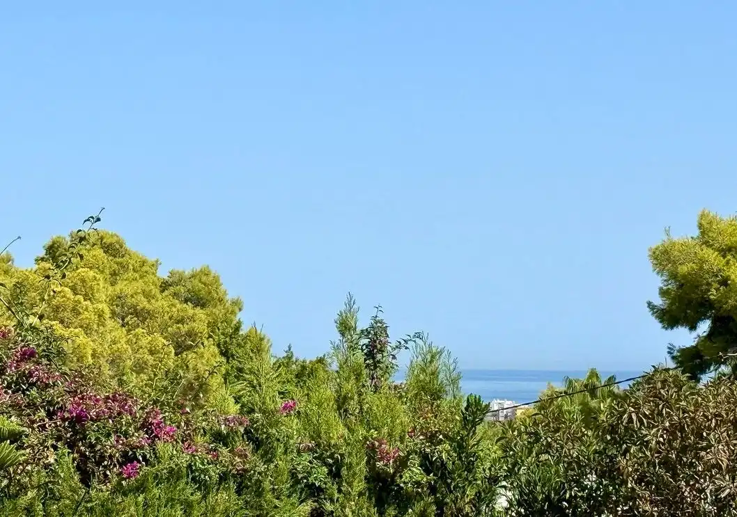 Vista exterior de Casa o chalet en venta en Jávea / Xàbia con Aire acondicionado, Calefacción y Jardín privado