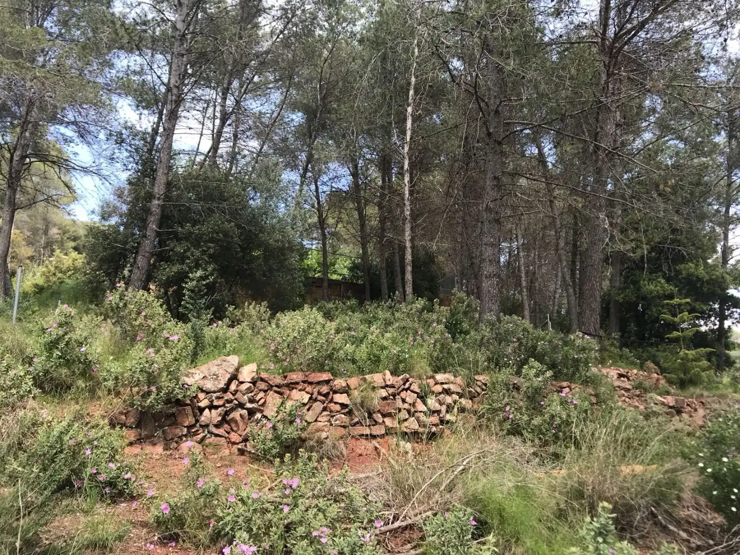 Wohnbaugrundstück zum Verkauf in Corbera de Llobregat
