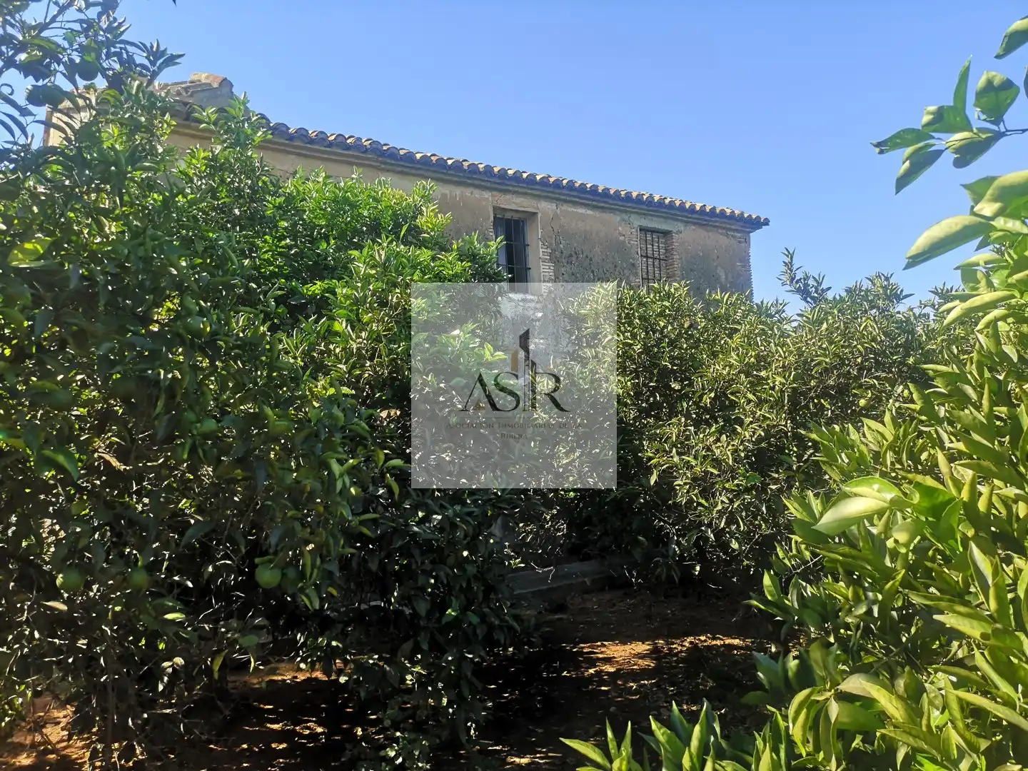 Außenansicht von Residential zum Verkauf in Carcaixent, Valencia